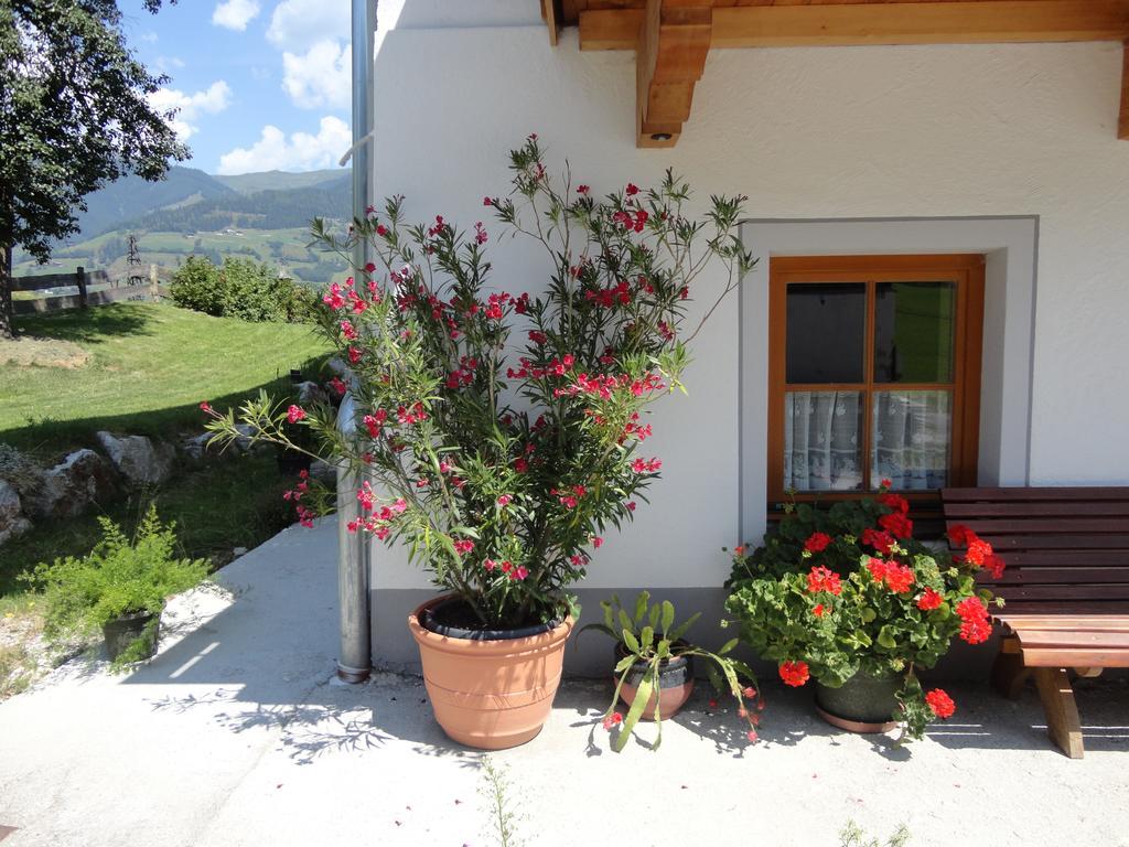 Landhaus Ganzer Niedernsill Quarto foto